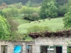 IMG-20260416-WA0000