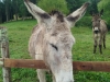 IMG-20260416-WA0002