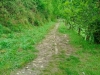 IMG-20260416-WA0004
