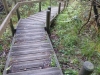IMG-20260416-WA0010