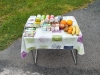 IMG-20260416-WA0027
