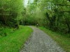 IMG-20260416-WA0029