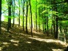 IMG-20260416-WA0036