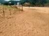 IMG-20260417-WA0012
