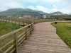 IMG-20260417-WA0013