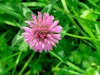 IMG-20260418-WA0012