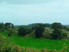 IMG-20260418-WA0016