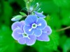 IMG-20260418-WA0018
