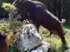 IMG-20260418-WA0019