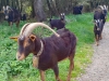 IMG-20260418-WA0020