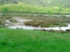 D-20260420-WA0002