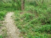 IMG-20260410-WA0005