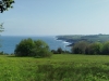 IMG-20260410-WA0011