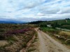 DD-20260628-WA0026