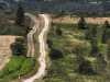 IMG-20260630-WA0019