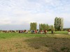 RBHM_8823