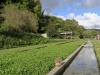 hericourt_4375