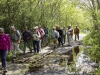 RB_0555