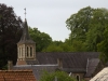 RB_0667