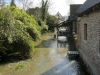 randoIMG_1489