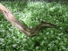 DP_4758