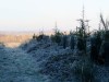 MN_2400