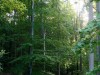 MN_6367