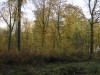 DP_4219