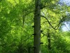 MN_3986