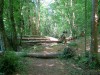 MN_3991