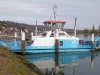 MN-1000003958