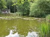 MN-20260529_105704