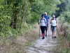 DP_3784