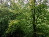 MN_6340