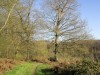 MN-DP_2195
