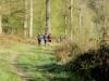 MN-DP_2198