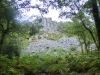 R-P1010586