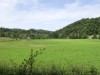 DP_3593