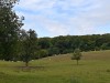 2VB_5618