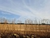 RB-1000041345