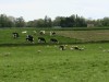 1-DP_4832