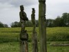 1-DP_4843