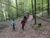 DP_4795