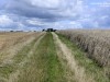 2VB_4542