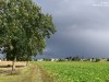 2VB_5582