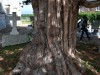 2VB_5590