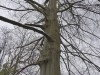 RB_20250311_152427