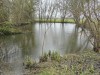 RB_20250311_152754