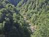 IMG-20260615-WA0005