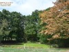 2VB_4465